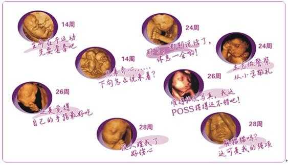 彩超对胎儿的影响(彩超对胎儿的影响有多大) 第2张 彩超对胎儿的影响(彩超对胎儿的影响有多大) 第2张