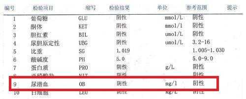 怀孕晚期尿潜血是怎么回事,孕期潜血+-是什么意思 第2张 怀孕晚期尿潜血是怎么回事,孕期潜血+-是什么意思 第2张