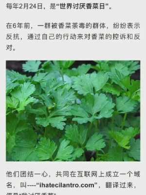 孕期能不能吃香菜(孕妇可以吃香菜吗?吃了对胎儿有什么影响吗?有坏处的吗) 第1张 孕期能不能吃香菜(孕妇可以吃香菜吗?吃了对胎儿有什么影响吗?有坏处的吗) 第1张