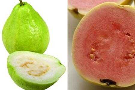 孕期能吃番石榴吗(孕妇血糖高可以吃番石榴吗) 第1张 孕期能吃番石榴吗(孕妇血糖高可以吃番石榴吗) 第1张
