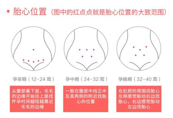 胎儿多少周有胎心(婴儿第几周有胎心) 第3张 胎儿多少周有胎心(婴儿第几周有胎心) 第3张