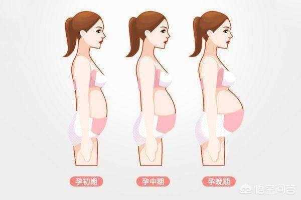 孕期长肚子（孕妇肚子隆起的位置在哪里）  第2张
