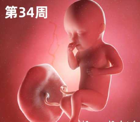胎儿老动(怀孕35周了,宝宝胎动还是很频繁怎么回事) 第2张 胎儿老动(怀孕35周了,宝宝胎动还是很频繁怎么回事) 第2张