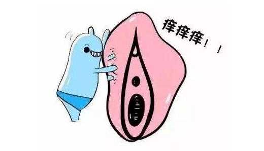 外阴瘙痒孕期 第3张 外阴瘙痒孕期 第3张