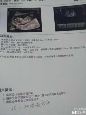 nt值高就一定有风险吗?拿到检查结果了,胎儿发育会不好吗,膈疝胎儿生下来有健康的吗 第2张 nt值高就一定有风险吗?拿到检查结果了,胎儿发育会不好吗,膈疝胎儿生下来有健康的吗 第2张