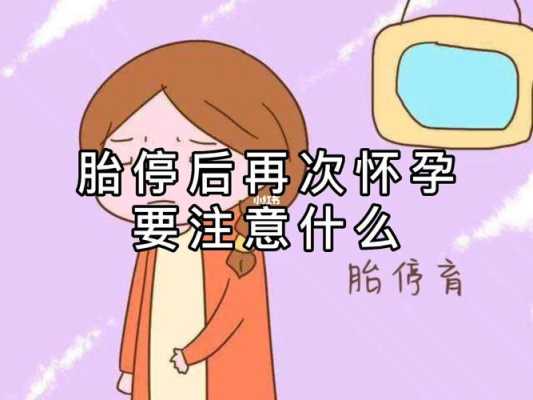 胎儿胎停(怀孕六个半月应该注意什么?怀孕六个半月还会出现胎停的情况吗) 第2张 胎儿胎停(怀孕六个半月应该注意什么?怀孕六个半月还会出现胎停的情况吗) 第2张