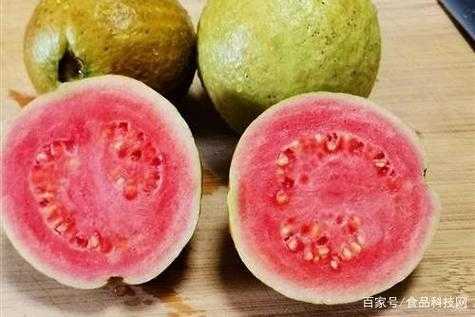 孕期能吃芭乐吗(孕期能吃芭乐吗会流产吗) 第1张 孕期能吃芭乐吗(孕期能吃芭乐吗会流产吗) 第1张