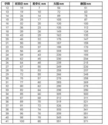 27周胎儿肱骨长标准值,达到多少正常呢,27周胎儿发育标准值 第1张 27周胎儿肱骨长标准值,达到多少正常呢,27周胎儿发育标准值 第1张