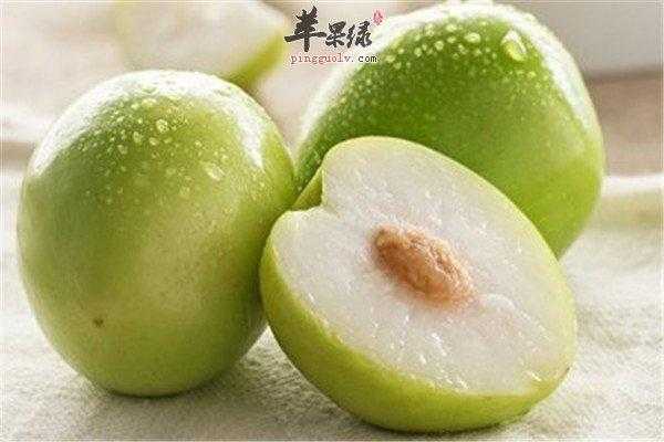 怀孕了可以吃红枣枸杞吗,青枣是保胎还是滑胎 第2张 怀孕了可以吃红枣枸杞吗,青枣是保胎还是滑胎 第2张