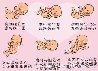 胎儿怎么动(胎儿怎么动算一次胎动) 第3张 胎儿怎么动(胎儿怎么动算一次胎动) 第3张