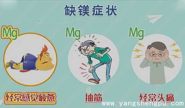 孕妇缺镁有什么症状和危害,孕期 镁 第2张 孕妇缺镁有什么症状和危害,孕期 镁 第2张