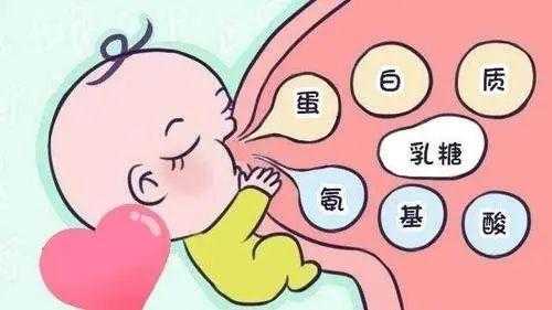 孕期哺乳(孕期哺乳会导致流产吗) 第3张 孕期哺乳(孕期哺乳会导致流产吗) 第3张