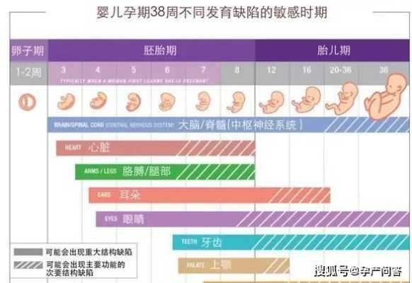 什么原因导致胎儿畸形（什么原因导致胎儿畸形率大）  第2张