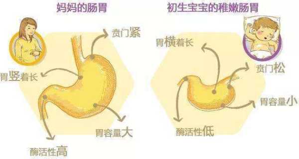 宝宝总是在胃那边一个地方鼓起来,胎儿胃大有什么危害 第1张 宝宝总是在胃那边一个地方鼓起来,胎儿胃大有什么危害 第1张