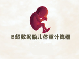 b超胎儿体重计算器(快递重量怎么计算) 第3张 b超胎儿体重计算器(快递重量怎么计算) 第3张