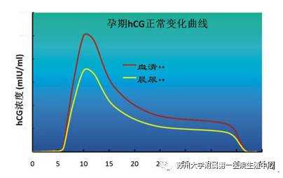 孕期hcg变化曲线(孕期hcg变化曲线图) 第3张 孕期hcg变化曲线(孕期hcg变化曲线图) 第3张