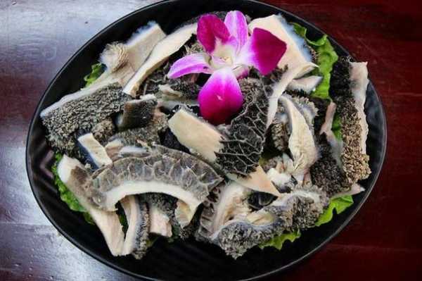 孕期可以吃牛肚吗(哪些人不能吃牛肚) 第1张 孕期可以吃牛肚吗(哪些人不能吃牛肚) 第1张