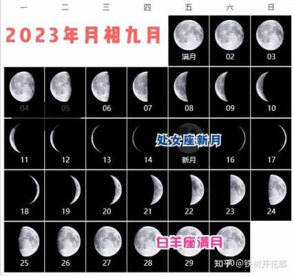 八月的胎儿(2023年8月出生的宝宝属什么) 第1张 八月的胎儿(2023年8月出生的宝宝属什么) 第1张