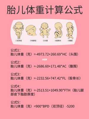 孕妇要学习怀孕的相关知识应该下载什么软件好,医生用的胎儿生长及胎儿体重计算软件 第1张 孕妇要学习怀孕的相关知识应该下载什么软件好,医生用的胎儿生长及胎儿体重计算软件 第1张
