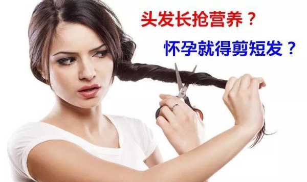 怀孕期间可以染头发吗(怀孕可以剪头发吗) 第3张 怀孕期间可以染头发吗(怀孕可以剪头发吗) 第3张