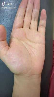 孕期的脉搏(怀孕左手脉搏跳动明显) 第2张 孕期的脉搏(怀孕左手脉搏跳动明显) 第2张