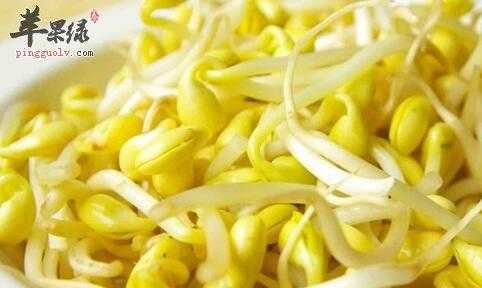 孕期能吃黄豆芽吗（孕期能吃黄豆芽吗?）  第2张
