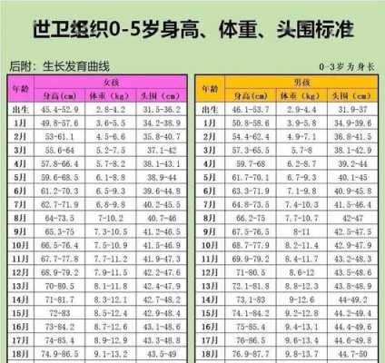 胎儿五月(五个月的婴儿是指多少天) 第1张 胎儿五月(五个月的婴儿是指多少天) 第1张