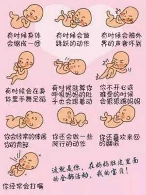 孕十月胎儿(十月怀胎是什么意思) 第3张 孕十月胎儿(十月怀胎是什么意思) 第3张
