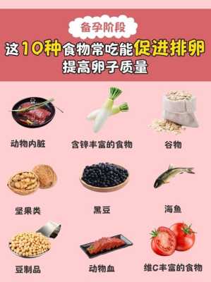 对女性备孕有帮助的食物,女性备孕吃什么养卵泡 第3张 对女性备孕有帮助的食物,女性备孕吃什么养卵泡 第3张