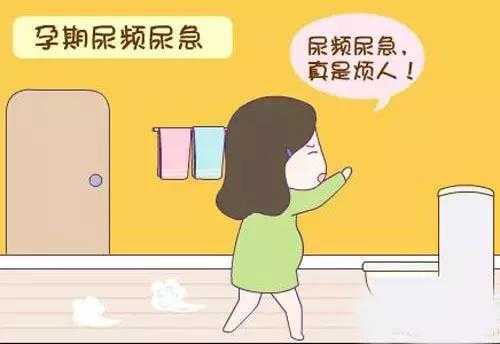怀孕中期尿多怎么回事,不停的跑厕所,这个正常不,孕期尿多是什么原因造成的 第1张 怀孕中期尿多怎么回事,不停的跑厕所,这个正常不,孕期尿多是什么原因造成的 第1张