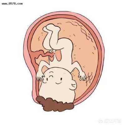 为什么胎儿喜欢鼓包，这是怎么回事呢,胎儿鼓包是在干什么  第2张