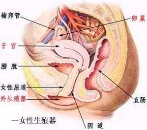 孕晚期同房阴道疼痛是怎么回事,孕期同房痛啥原因 第2张 孕晚期同房阴道疼痛是怎么回事,孕期同房痛啥原因 第2张