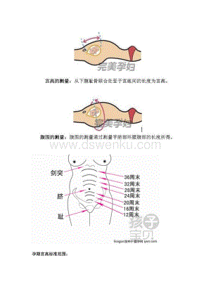 孕期腹围怎么测量(孕期腹围怎么测量图) 第2张 孕期腹围怎么测量(孕期腹围怎么测量图) 第2张