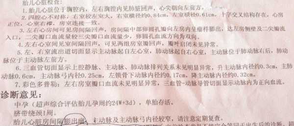 超声胎儿诊断(超声胎儿诊断怎么写) 第1张 超声胎儿诊断(超声胎儿诊断怎么写) 第1张