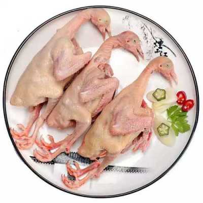 孕期能吃鸽子肉吗(鸽子肉可以吃吗) 第1张 孕期能吃鸽子肉吗(鸽子肉可以吃吗) 第1张