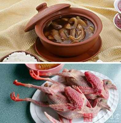 孕期能吃鸽子肉吗(鸽子肉可以吃吗) 第3张 孕期能吃鸽子肉吗(鸽子肉可以吃吗) 第3张