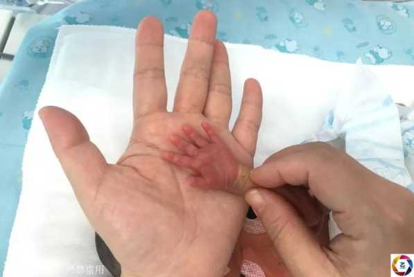 六月的婴儿叫什么,胎儿六月的图片 第3张 六月的婴儿叫什么,胎儿六月的图片 第3张
