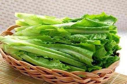 孕期可以吃油麦菜吗(产后能吃油麦菜吗) 第1张 孕期可以吃油麦菜吗(产后能吃油麦菜吗) 第1张