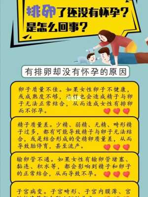 怀孕期间会不会排卵(怀孕期间会不会排卵?) 第2张 怀孕期间会不会排卵(怀孕期间会不会排卵?) 第2张
