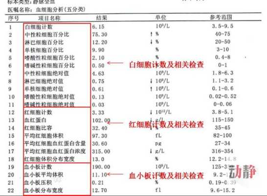 孕妇血常规白细胞高的原因是什么?怎么办,孕期血常规白细胞偏高是什么原因 第1张 孕妇血常规白细胞高的原因是什么?怎么办,孕期血常规白细胞偏高是什么原因 第1张