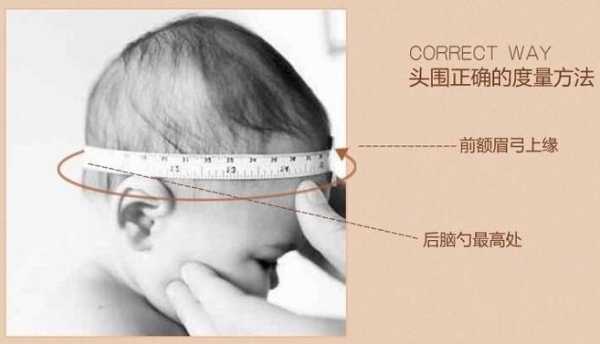 胎儿头围怎么测量(胎儿头围怎么测量示意图) 第1张 胎儿头围怎么测量(胎儿头围怎么测量示意图) 第1张