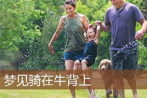 孕期梦见牛(一个人骑在牛背上由哪八个字组成) 第2张 孕期梦见牛(一个人骑在牛背上由哪八个字组成) 第2张
