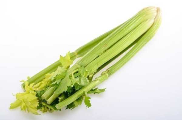 备孕期间可以吃芹菜吗（芹菜叶酸含量高吗）  第1张