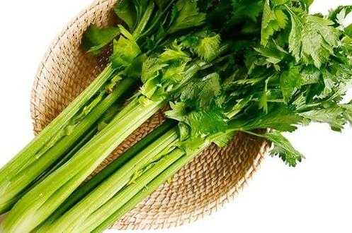 备孕期间可以吃芹菜吗（芹菜叶酸含量高吗）  第2张