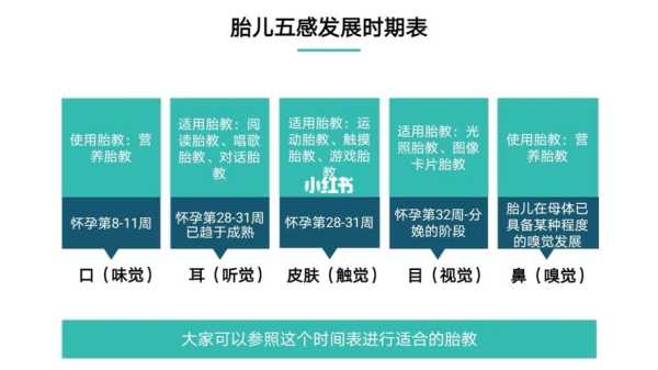 怎样胎教,胎儿胎教一天最佳时间是几点 第3张 怎样胎教,胎儿胎教一天最佳时间是几点 第3张