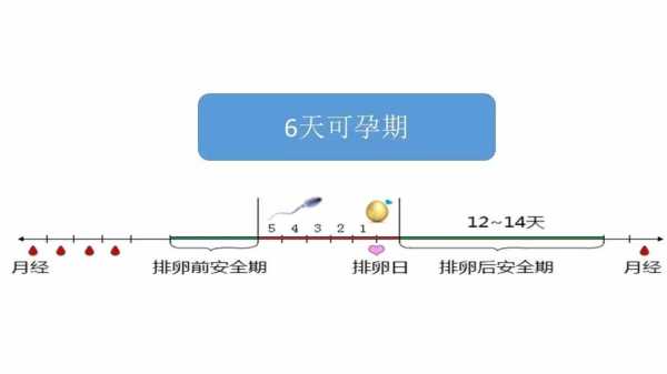受孕期是什么意思(大象的受孕期是多长时间) 第2张 受孕期是什么意思(大象的受孕期是多长时间) 第2张