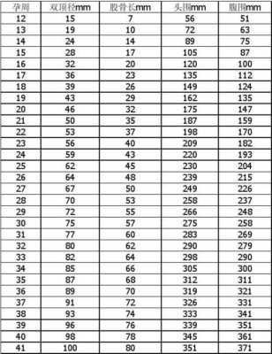 怎么测算胎儿体重(孕38周双顶径95,股骨73那么胎儿有多重?怎样计算的) 第1张 怎么测算胎儿体重(孕38周双顶径95,股骨73那么胎儿有多重?怎样计算的) 第1张