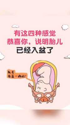 是不是必须都是入盆了以后才生啊,胎儿不入盆能顺产吗? 第1张 是不是必须都是入盆了以后才生啊,胎儿不入盆能顺产吗? 第1张