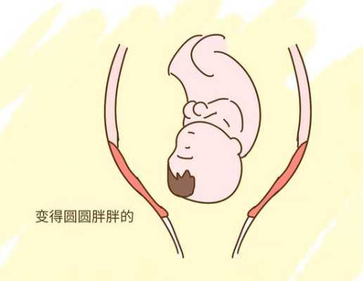 一般胎儿几个月入盆,怀孕几个月胎儿入盆正常 第2张 一般胎儿几个月入盆,怀孕几个月胎儿入盆正常 第2张