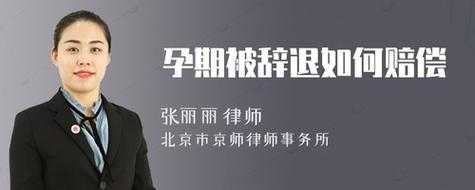 孕期可以辞退吗(孕期可以辞退吗有补偿吗) 第3张 孕期可以辞退吗(孕期可以辞退吗有补偿吗) 第3张